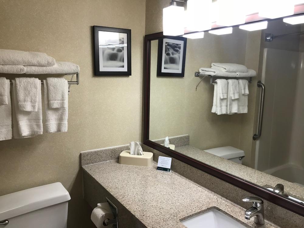 Quality Inn & Suites Springfield Southwest Near I-72 Bagian luar foto